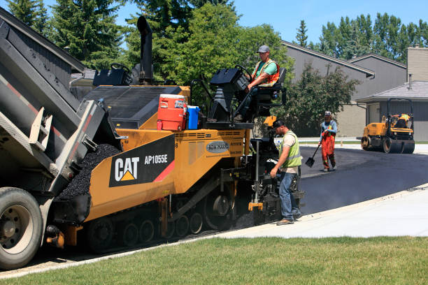 Best Custom Driveway Pavers  in Hoxie, AR